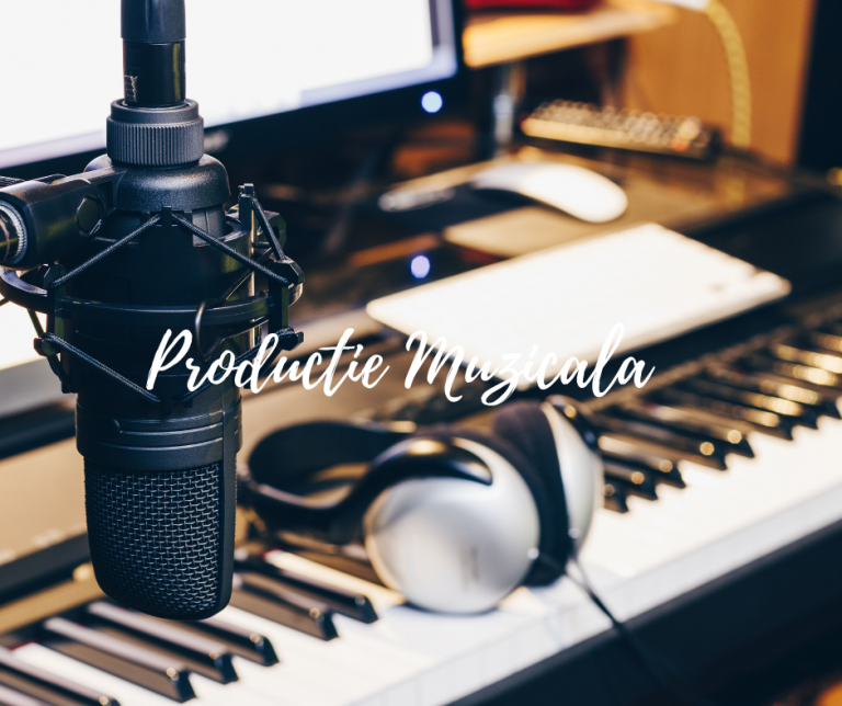 Productie Muzicala (1)